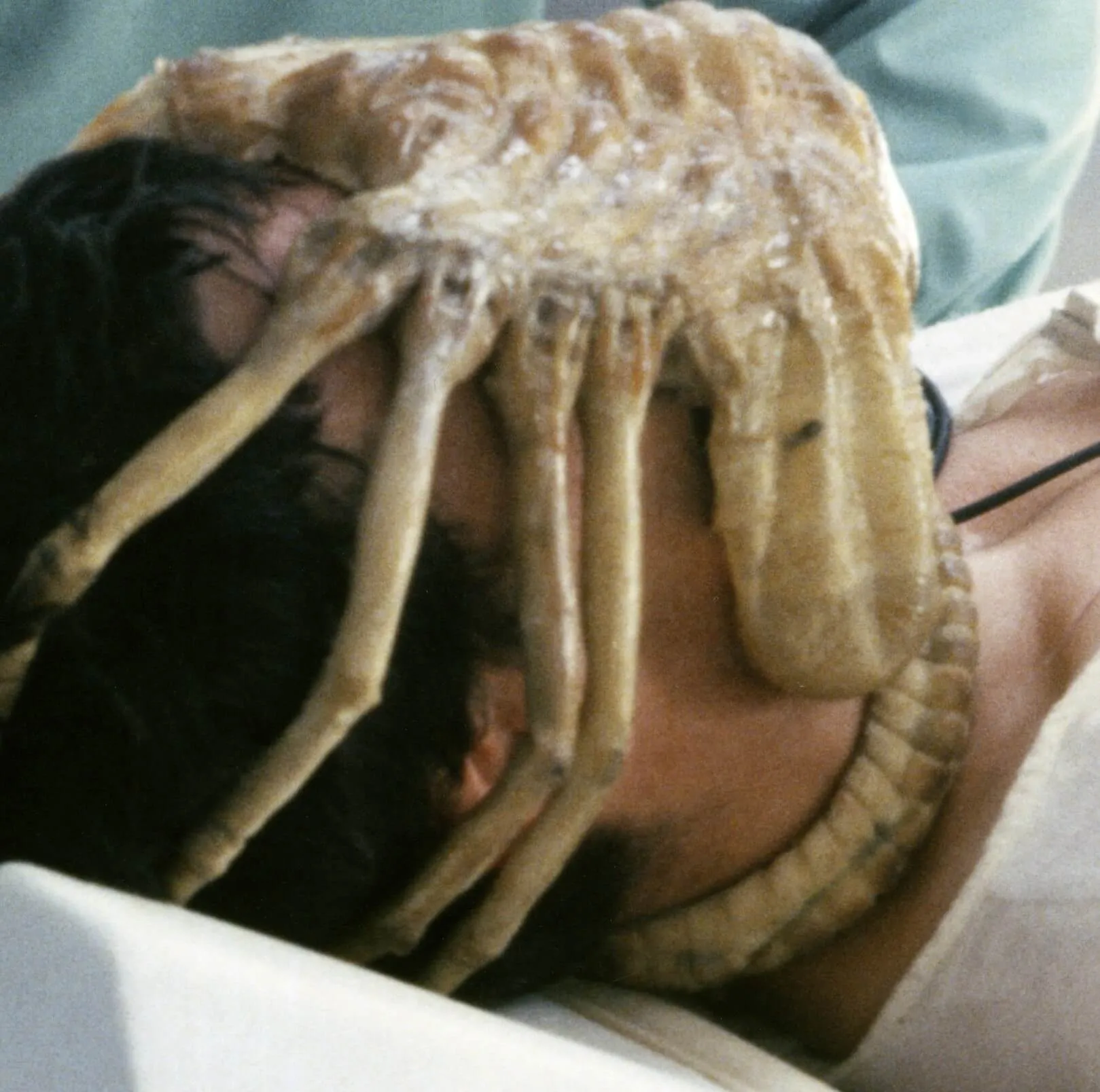 A facehugger from the original 'Alien'